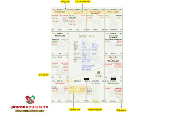  Lập lá số tử vi phụ thuộc vào nhiều yếu tố khác nhau