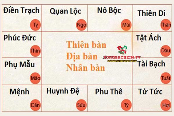 Cách xem tử vi phụ thuộc vào nhiều yếu tố, nhất là kinh nghiệm người xem