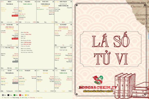 cấu trúc lá số tử vi