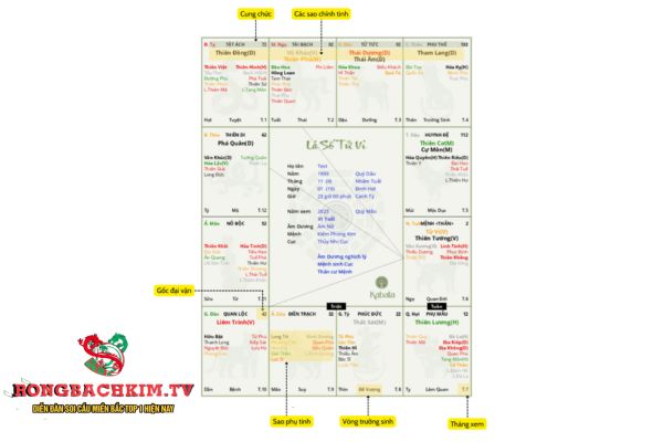 Cấu trúc cơ bản của lá số tử vi