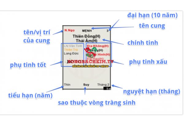 cấu trúc lá số tử vi