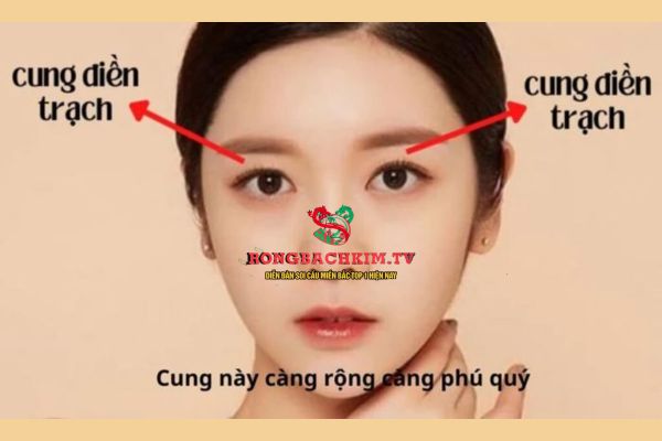 cung điền trạch là gì