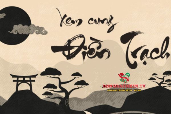 cung điền trạch là gì