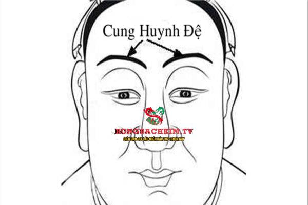cung huynh đệ là gì