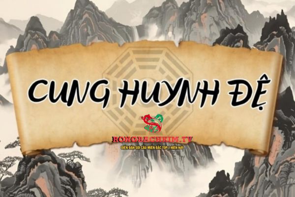 cung huynh đệ là gì