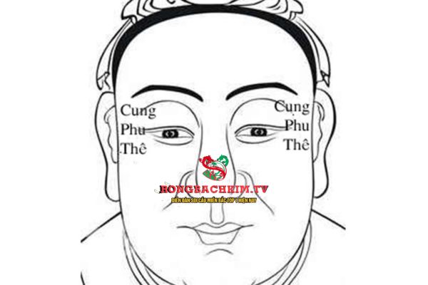 Trong 12 cung tử vi, Cung Phu Thê là cung nói về đời sống hôn nhân, tình duyên