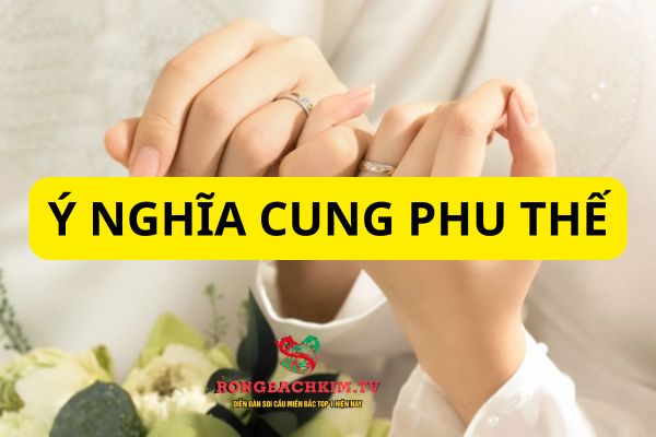 cung phu thê là gì