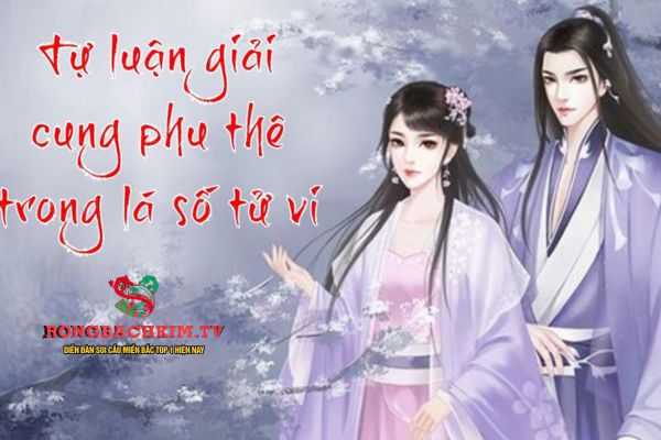 cung phu thê là gì