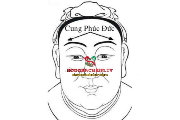 cung phúc đức là gì