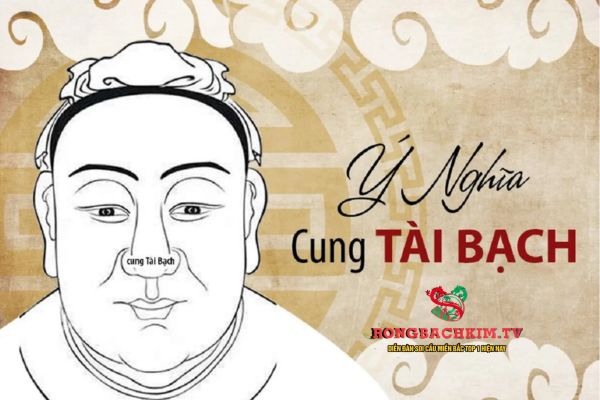 Dựa vào Cung Tài Bạch có thể luận giải được vấn đề tài chính chính xác