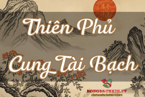 cung tài bạch là gì