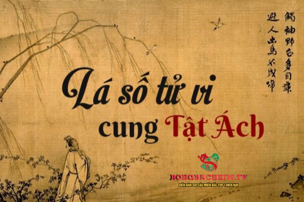 Có nhiều yếu tố tác động đến cung Tật Ách