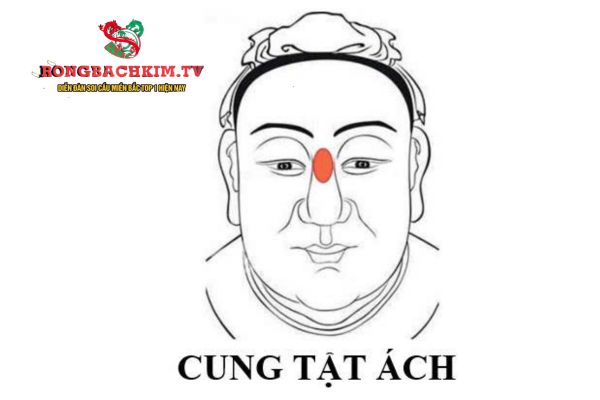 cung tật ách là gì