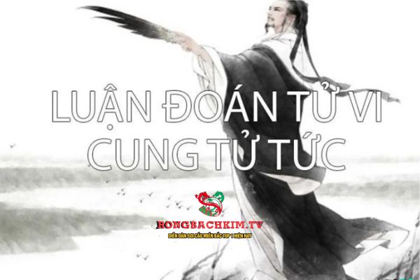 cung tử tức là gì