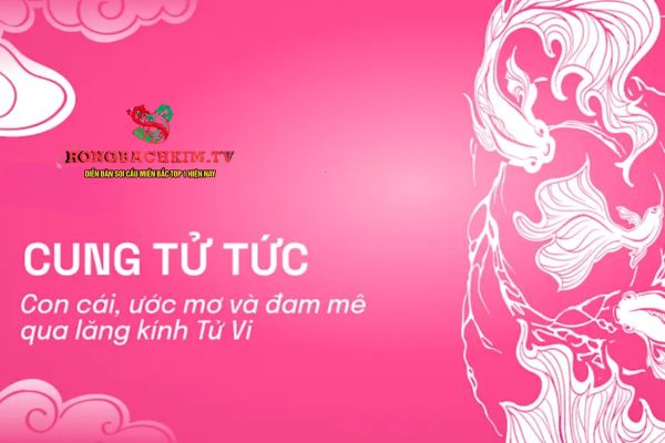 Dựa vào Cung Tử Tức có thể luận giải nhiều thông tin về đường con cái, hậu vận gia đình