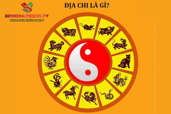 địa chi là gì
