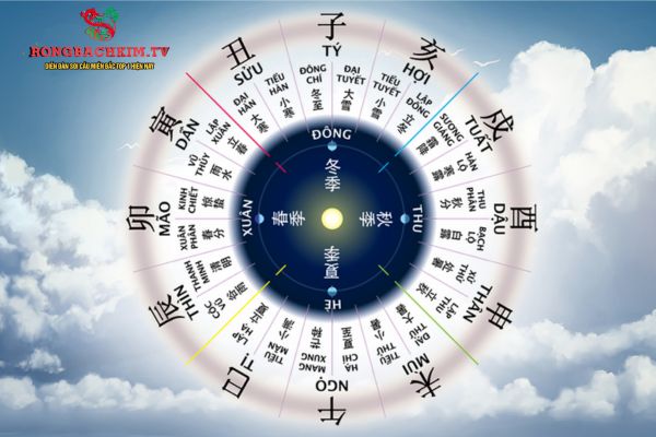 Trong địa chi có nhiều mối quan hệ khác nhau