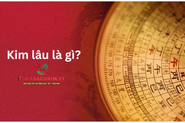 kim lâu là gì
