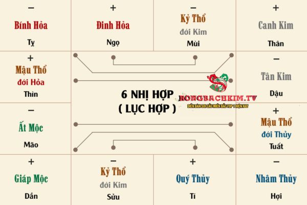 lục hợp là gì
