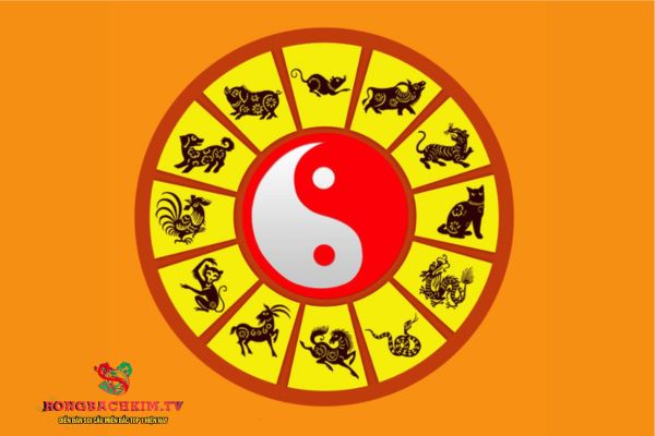 Lục hợp có ý nghĩa nhiều trong lĩnh vực phong thuỷ, tử vi