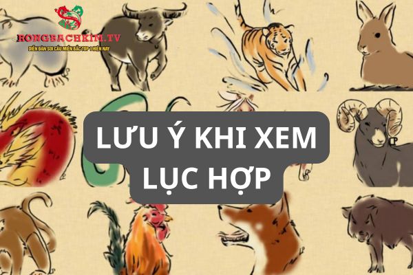 lục hợp là gì