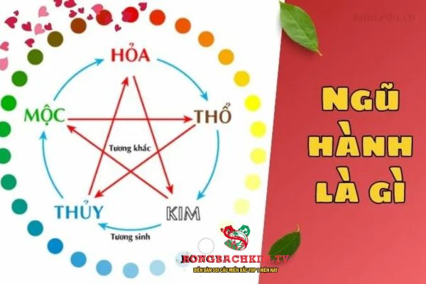 ngũ hành tương sinh tương khắc 