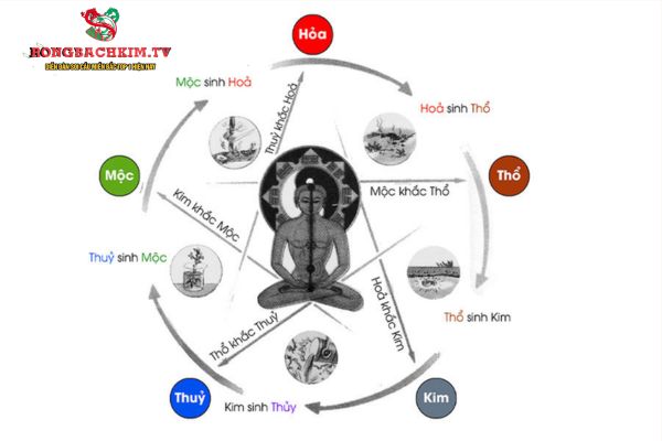Âm dương - ngũ hành hoạt động theo quy luật nhất định