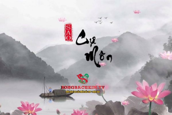 sao cự môn là gì