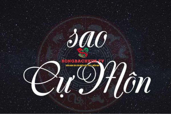 Dựa vào sao Cự Môn có thể đánh giá, luận giải được nhiều khía cạnh cuộc sống