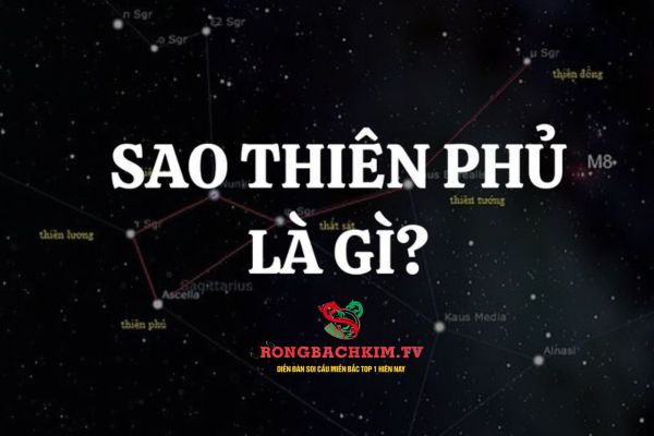 sao thiên phủ là gì