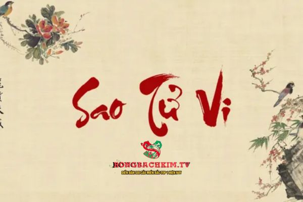sao tử vi là gì
