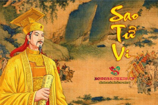 Dựa vào sao Tử Vi có thể luận giải được nhiều thông tin về lá số tương ứng