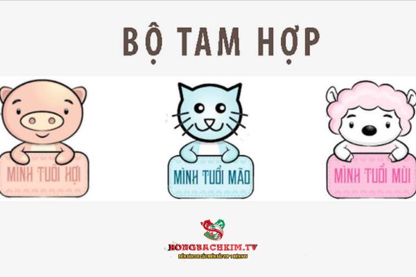 Cách tính tam hợp sẽ dựa vào đặc điểm của mỗi nhóm con giáp