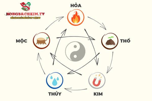 xem mệnh theo ngày tháng năm sinh