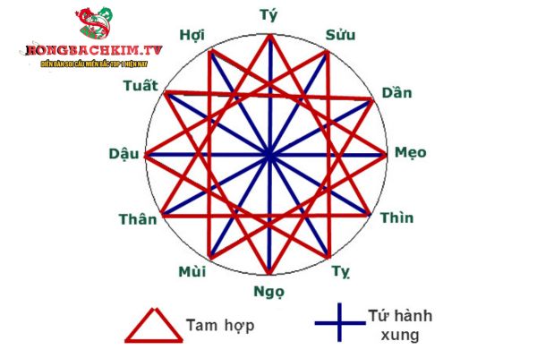 tứ hành xung là gì