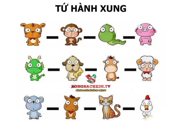 Tổng cộng có 3 nhóm con giáp xung khắc 