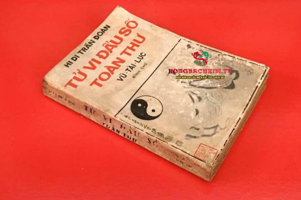 tử vi đẩu số là gì