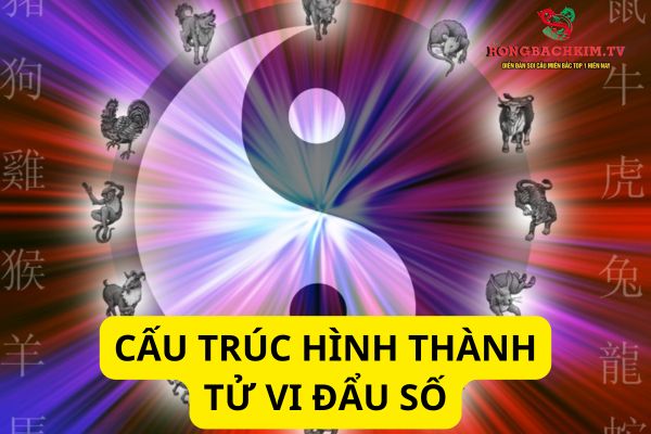 Đẩu sô tử vi này dựa vào nhiều yếu tố khác nhau