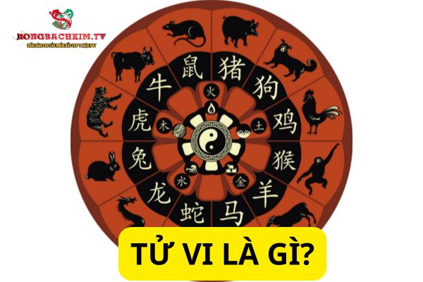 tử vi là gì