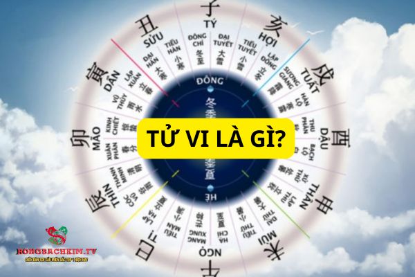 Tử vi là gì? Trọn bộ kiến thức về tử vi chi tiết nhất