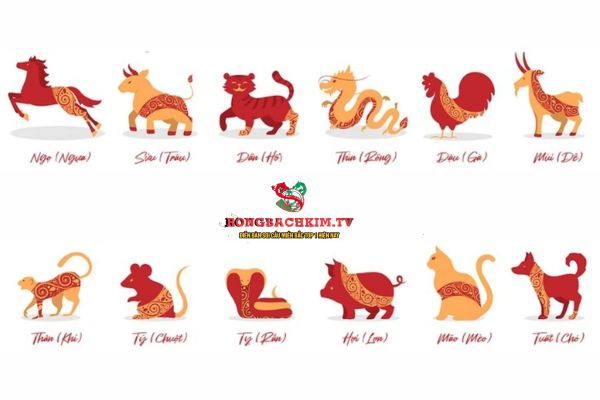 Dựa vào năm sinh, xác định con giáp để xét lá số tử vi phù hợp
