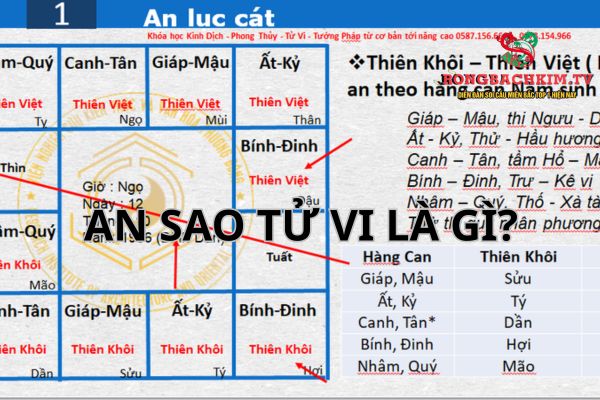cách an sao tử vi
