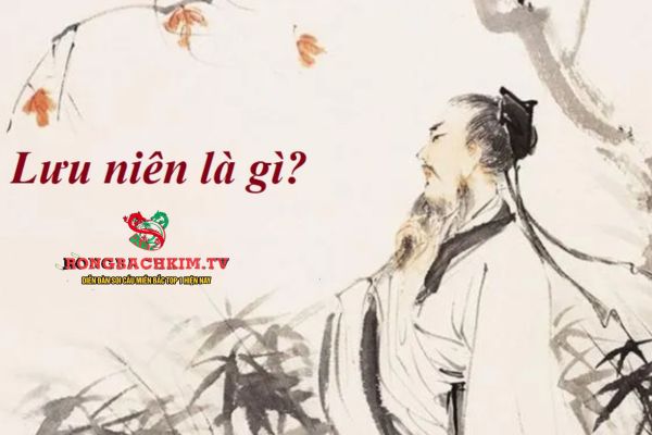 lưu niên là gì