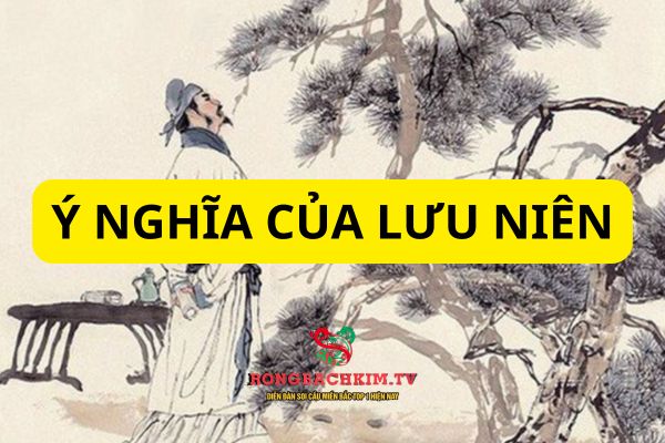 Dựa vào lưu niên có thể luận đoán nhiều thông tin về tử vi