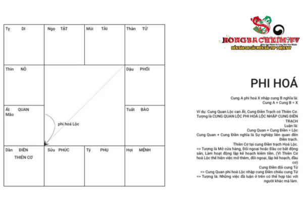phi hoá trong tử vi