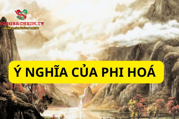 Dựa vào phi hóa có thể luận giải được nhiều thông tin trong tử vi