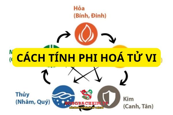 phi hoá trong tử vi