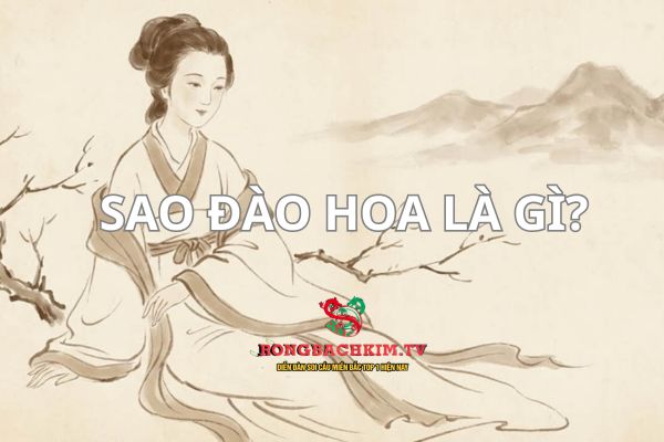 Sao Đào Hoa là phụ tinh biểu trưng cho tình duyên, sức hấp dẫn và các mối quan hệ xã hội