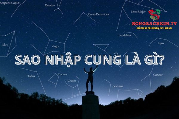 sao nhập cung nghĩa là gì