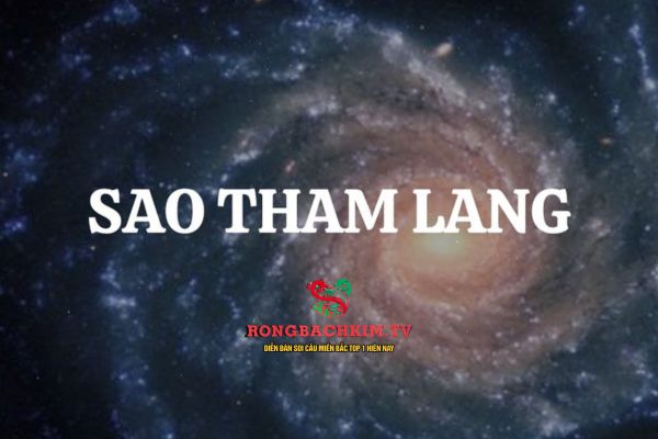 Trong tử vi, sao Tham Lang thường đại diện cho sự ham muốn, đào hoa